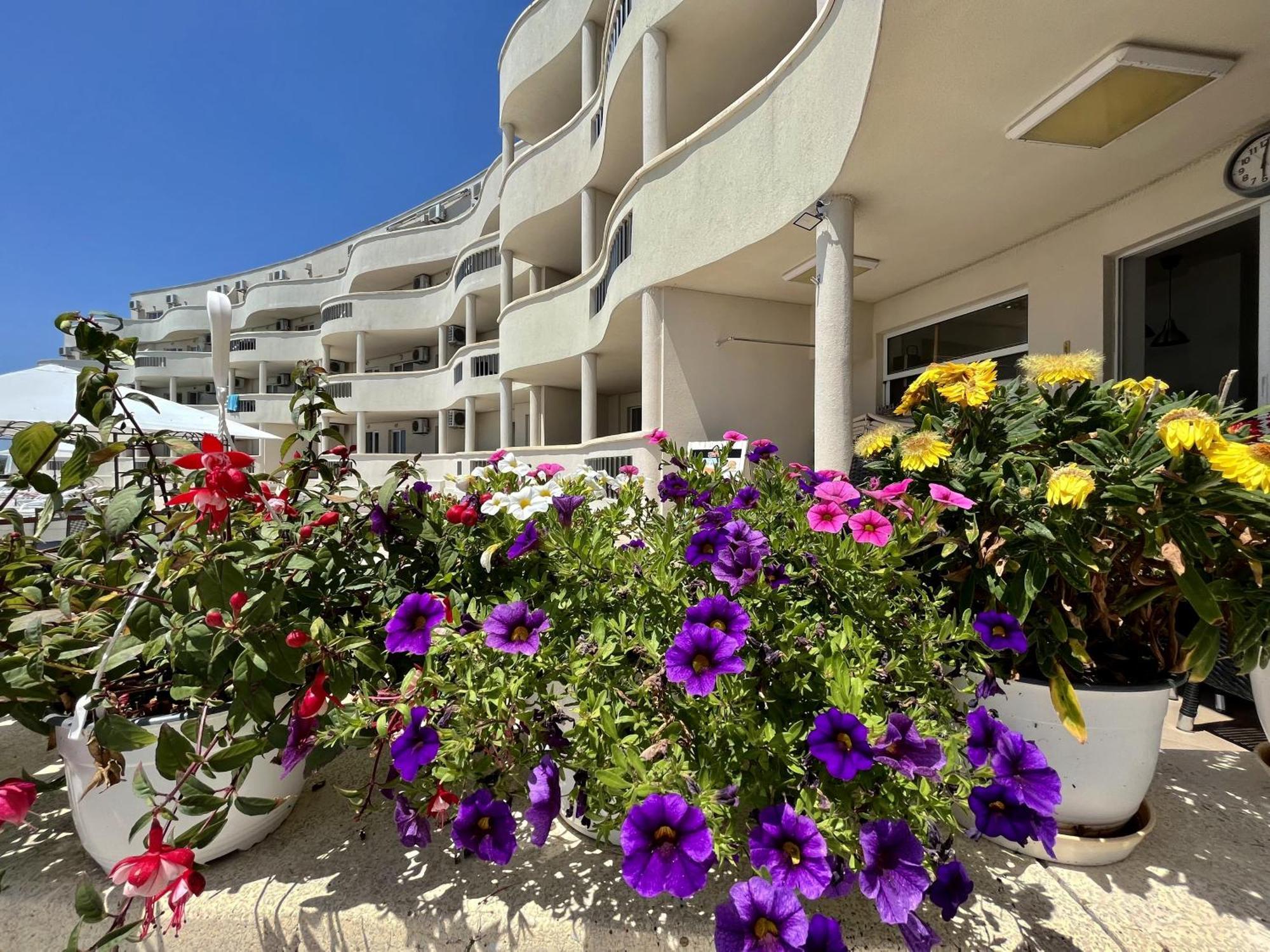 Апартаменти Сънбрийз - Sunbreeze Apartments Bjala Eksteriør bilde